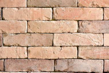 Solucanların gözü, duvarda parlayan güneşi görür.