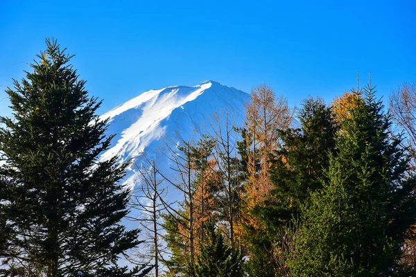 Arka Planda Günbatımı Olan Sonbahar Yaprakları Kızıl Adam Fotoğrafı — Stok fotoğraf