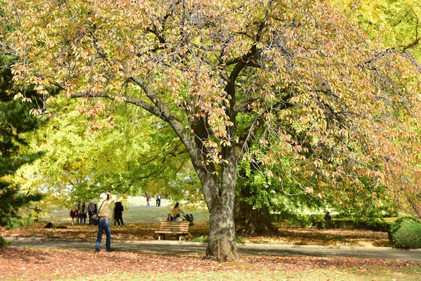 Tokyo Japan November 2019 Άγνωστος Πολλοί Άνθρωποι Περπατούν Στον Εθνικό — Φωτογραφία Αρχείου