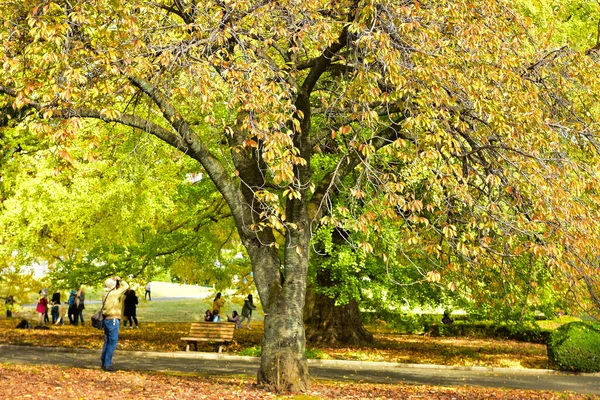 Tokio Japan November 2019 Unbekannte Gehen Shinjuku Gyoen Nationalgarten Spazieren — Stockfoto