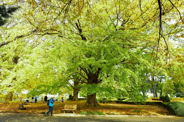 Tokio Japan November 2019 Unbekannte Gehen Shinjuku Gyoen Nationalgarten Spazieren — Stockfoto