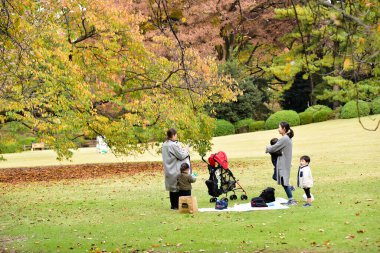 Tokyo, Japonya 27 Kasım 2019 Kimliği belirlenemeyen birçok insan Shinjuku Gyoen Ulusal Bahçesinde yürüyor ve sonbahar ağacını seyrediyor..