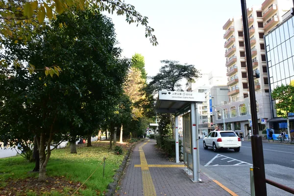 Tokio Japan November 2018 Unbekannte Gehen Ueno Park Spazieren Und — Stockfoto