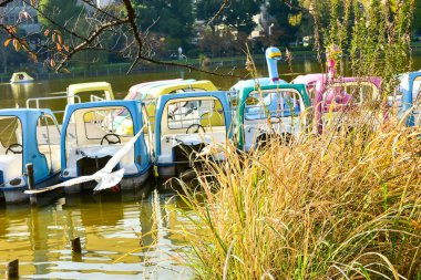 Tokyo, Japonya 27 Kasım 2018 Kimliği belirsiz birçok insan Ueno parkında yürüyor ve bahçedeki sonbahar ağacını izliyor. .
