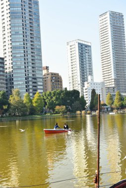 Tokyo, Japonya 27 Kasım 2018 Kimliği belirsiz birçok insan Ueno parkında yürüyor ve bahçedeki sonbahar ağacını izliyor. .