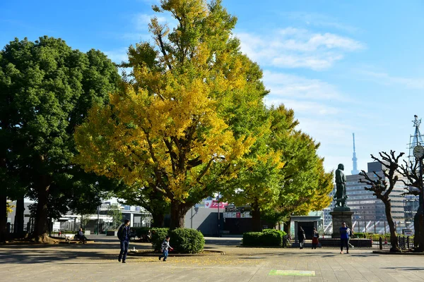 Tokio Japonia Listopada 2019 Niezidentyfikowany Smuga Wiele Osób Spaceruje Parku — Zdjęcie stockowe