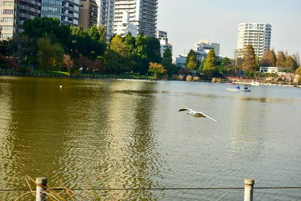 Tokyo Giappone Novembre 2018 Molte Persone Non Identificate Camminano Parco — Foto Stock