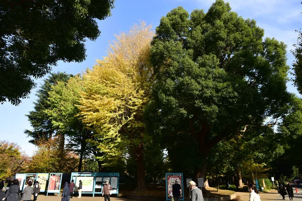 Tóquio Japão Novembro 2019 Desfoque Não Identificado Muitas Pessoas Estão — Fotografia de Stock