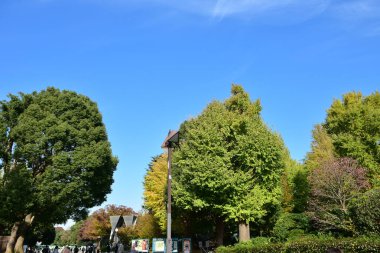 Yamanashi japan 23 Kasım 2018 Kimliği belirsiz insanlar otobüs durağı kırmızı hat, mavi hat, Fuji San dağı ve sokak manzarası için yeşil hat bekliyor. Japonya 'nın en ünlü şehri Fuji Dağı.  