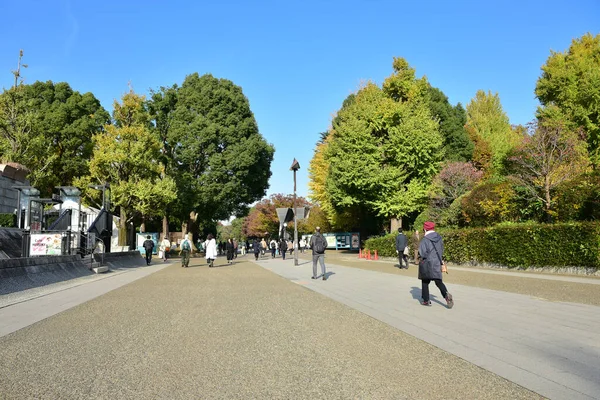 Yamanashi Japón Noviembre 2018 Personas Identificadas Esperan Estación Autobuses Línea — Foto de Stock