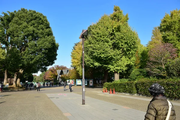 Yamanashi Japán November 2018 Ismeretlen Emberek Várják Buszmegálló Piros Vonal — Stock Fotó