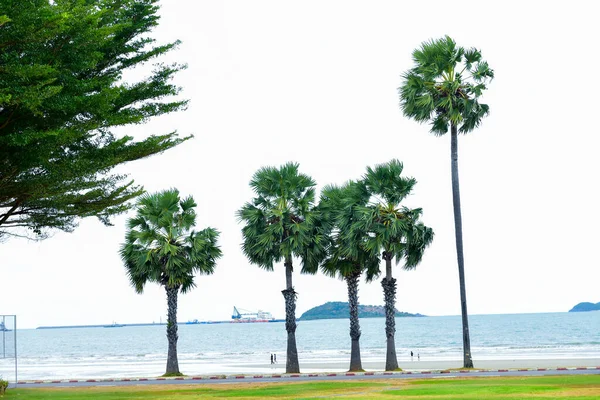 Rayong Thailand August 2019 Sand Rayong Beach Blue Sky Cloud — 图库照片