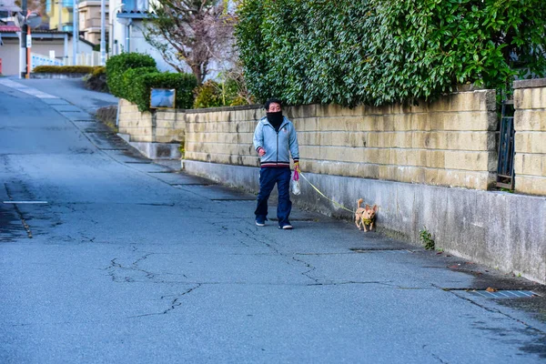 Yamanashi Japan Νοεμβρίου 2018 Πρωί Στον Κρύο Καιρό Ένα Αγροτικό — Φωτογραφία Αρχείου