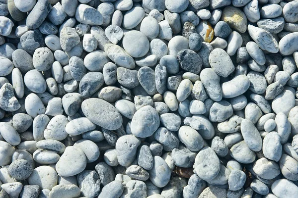 Verschiedene Steingrößen Werden Garten Platziert — Stockfoto