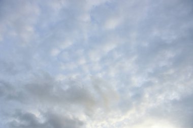 Görüntü Suki Sukiyaki yemeği çok lezzetli Sukiyaki Çin çorbası Japonya 'nın yemeği Shabu' dur. Suki yemeği haşlandı.