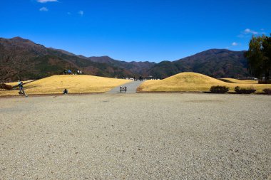 Beyaz arka planda Yumuşak Bebek oyuncak bebek.  