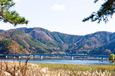 Beyaz arka planda Yumuşak Bebek oyuncak bebek.  