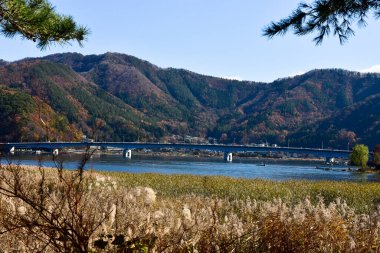 Beyaz arka planda Yumuşak Bebek oyuncak bebek.  