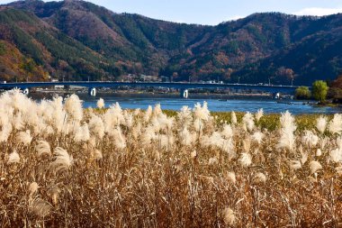 Beyaz arka planda Yumuşak Bebek oyuncak bebek.  