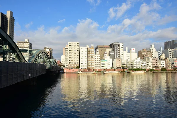 Tokyo Japan November 2018 Solen Skiner Bron Sumida Floden Tokyo — Stockfoto
