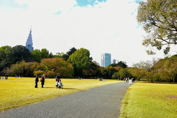 Tóquio Japão Novembro 2019 Muitas Pessoas Não Identificadas Estão Andando — Fotografia de Stock