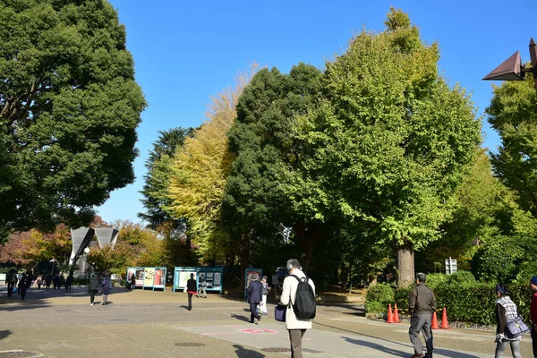 東京都2019年11月27日確認されていないぼかし多くの人が上野公園を歩いていて 庭の秋の木 日差しの日の秋の森を見ています — ストック写真