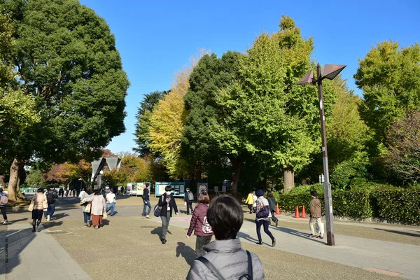 Tóquio Japão Novembro 2019 Desfoque Não Identificado Muitas Pessoas Estão — Fotografia de Stock