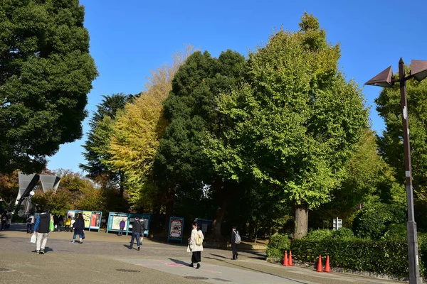 Tokyo Japan November 2019 Oidentifierad Blur Många Människor Går Ueno — Stockfoto