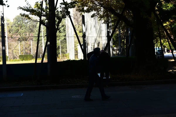 日本东京2019年11月27日身份不明模糊 许多人在植树公园里散步 在一个阳光明媚的日子观赏着花园里的秋树 — 图库照片