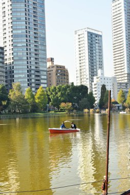 Tokyo, Japonya 27 Kasım 2018 Kimliği belirsiz birçok insan Ueno parkında yürüyor ve bahçedeki sonbahar ağacını izliyor. .