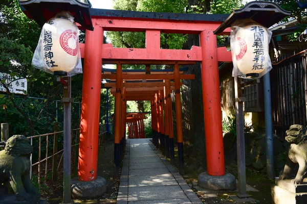 日本2018年11月27日確認されていない多くの人々が上野公園を歩いていて 庭の秋の木を見ています — ストック写真