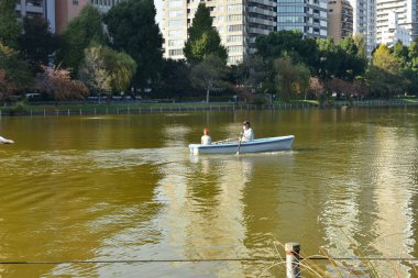 Tokyo, Japonya 27 Kasım 2018 Kimliği belirsiz birçok insan Ueno parkında yürüyor ve bahçedeki sonbahar ağacını izliyor. .