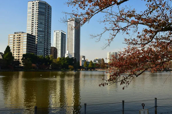 Tokyo Japan November 2018 Unidentified Many People Walking Ueno Park — Stock Photo, Image