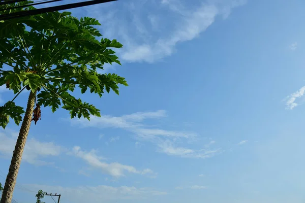 Pastel Céu Colorido Nuvem Branca Bonito Céu Bule Tarde Branco — Fotografia de Stock