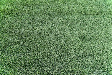 Arkaplanda yeşil çimen soyut dokusu