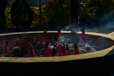 Tokyo, Japonya 27 Kasım 2018 Kimliği belirsiz birçok insan Ueno parkında yürüyor ve bahçedeki sonbahar ağacını izliyor. .