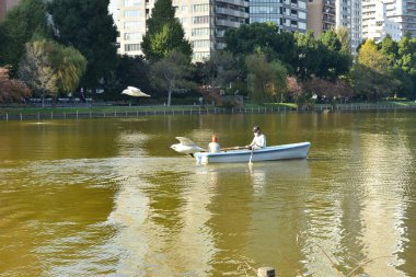 Tokyo, Japonya 27 Kasım 2018 Kimliği belirsiz birçok insan Ueno parkında yürüyor ve bahçedeki sonbahar ağacını izliyor. .