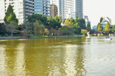 Tokyo, Japonya 27 Kasım 2018 Kimliği belirsiz birçok insan Ueno parkında yürüyor ve bahçedeki sonbahar ağacını izliyor. .
