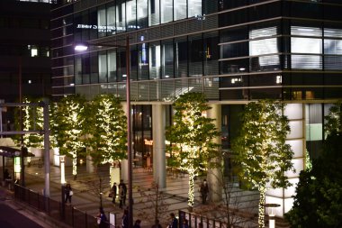 Tokyo, Japonya 21 Kasım 2018 Tanımlanamayan Görüntü Japon halkının Tokyo 'ya gece yolculuğu. Tokyo 'daki binalar.