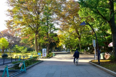 Pastel renkli gökyüzü ve bulut beyazı. Güzel öğleden sonra gökyüzü ve bulut beyazı. 