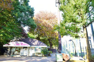 Pastel renkli gökyüzü ve bulut beyazı. Güzel öğleden sonra gökyüzü ve bulut beyazı. 
