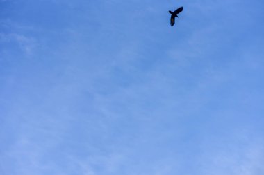 Arka plan için mavi gökyüzü ve beyaz bulutlar