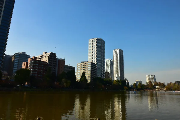 Tokio Japonia Listopada 2018 Niezidentyfikowane Wiele Osób Spaceruje Parku Ueno — Zdjęcie stockowe