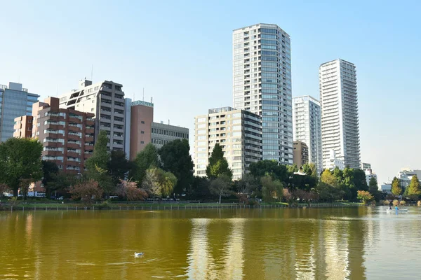 日本2018年11月27日確認されていない多くの人々が上野公園を歩いていて 庭の秋の木を見ています — ストック写真