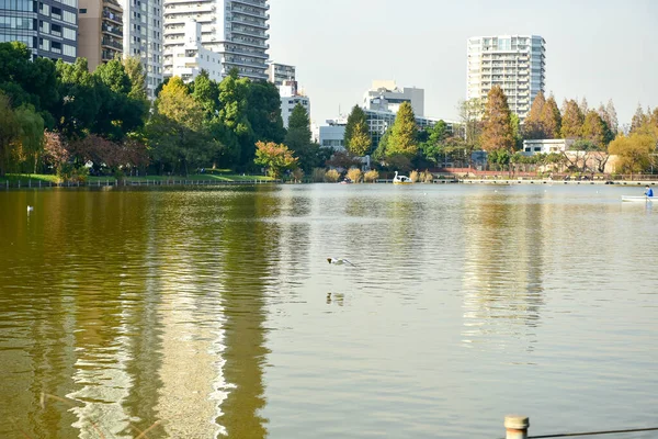 Tokio Japonia Listopada 2018 Niezidentyfikowane Wiele Osób Spaceruje Parku Ueno — Zdjęcie stockowe