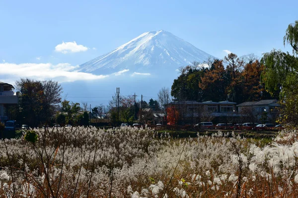 秋の紅葉 河口湖ラグーンの屋崎公園 Japan Fujisan山 — ストック写真