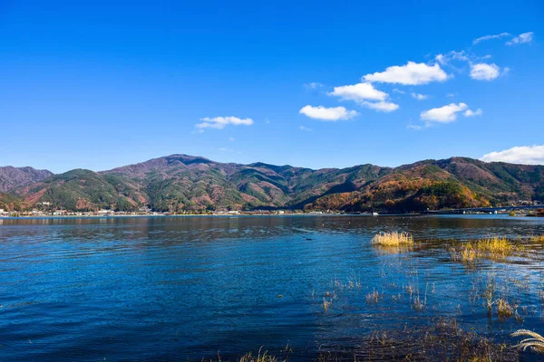 Folhas Outono Lagoa Kawaguchiko Parque Yakisaki Japan Fujisan Montanha — Fotografia de Stock