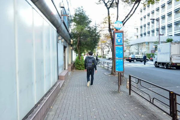 Tokio Japonsko Listopadu 2018 Neidentifikovaní Lidé Nádražích Tokiu Skvrna Cestování — Stock fotografie