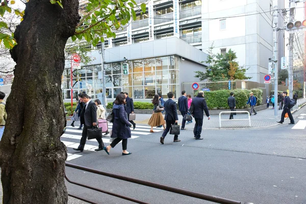 Tokió Japán November 2018 Unknown People Train Station Tokyo Maszat — Stock Fotó