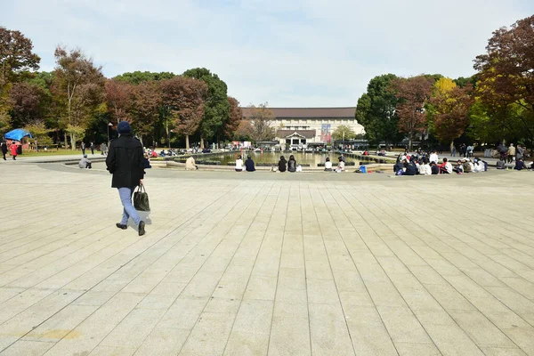 東京都2019年11月27日確認されていないぼかし多くの人が上野公園を歩いていて 庭の秋の木 日差しの日の秋の森を見ています — ストック写真